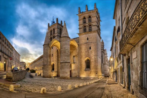 T3 MAJESTIC Montpellier Ecusson